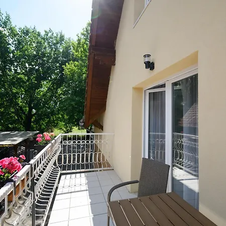 Molnar Guest house 3*
